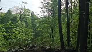 Incredible Energy Released by Heavy Mortar