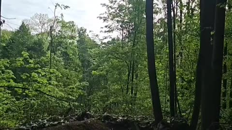 Incredible Energy Released by Heavy Mortar