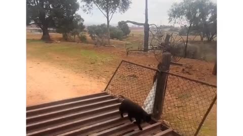 🤣🚾 Some Cross Bridges. Others Own Them! | FunFM