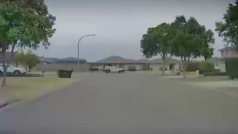 🤯✨ You Won't Believe Why Kangaroos Always Have The Right of Way! | FeedMyCuriosity