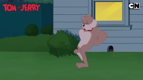 Tom and Jerry 1