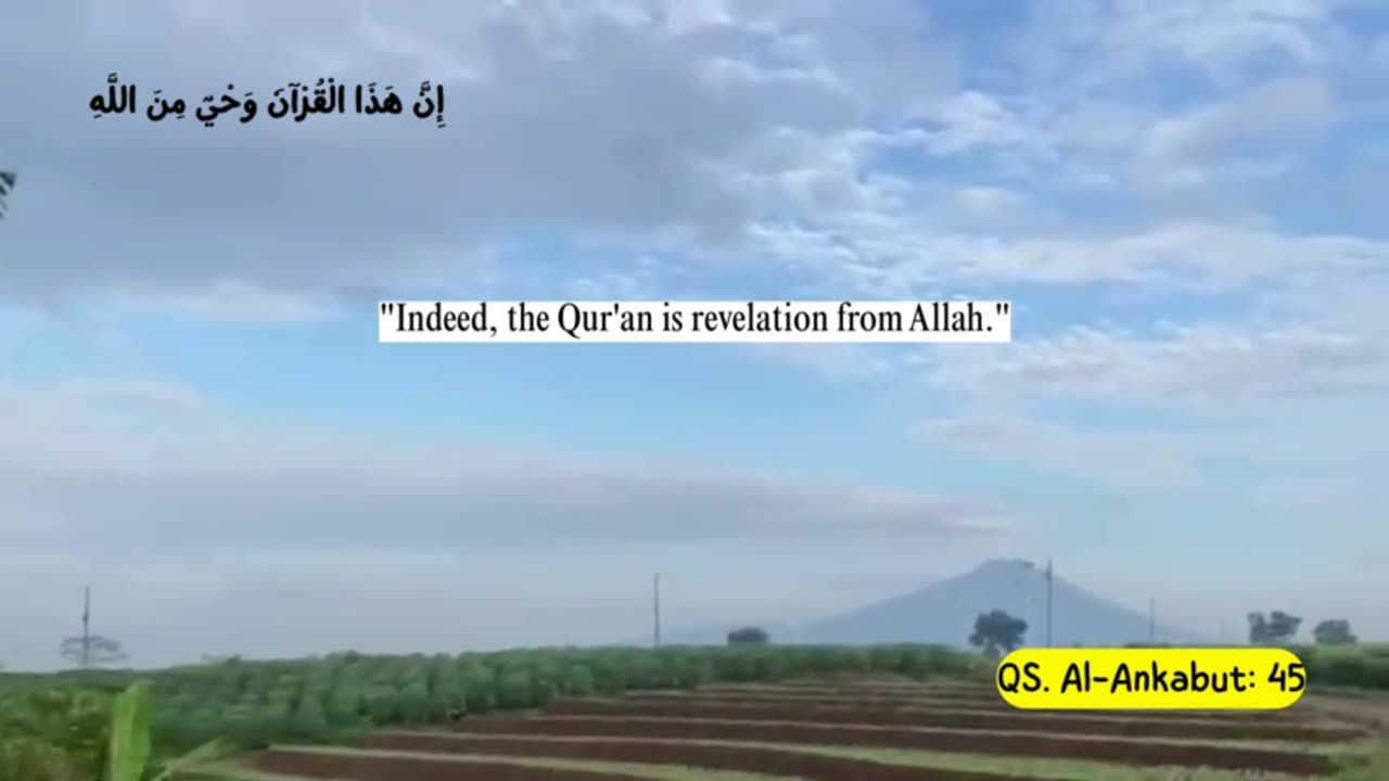 Partly about the Islamic religion 15