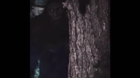 Maximum Bigfoot Video debunked
