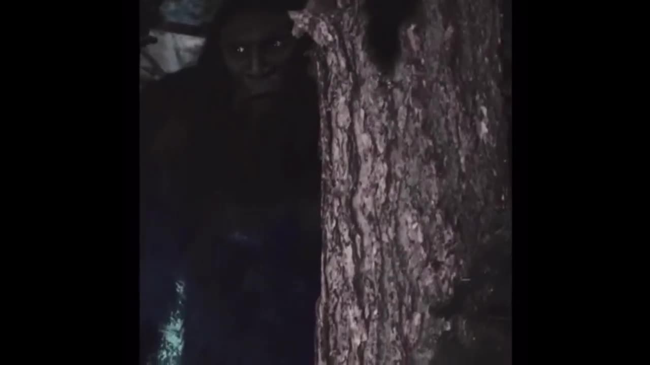 Maximum Bigfoot Video debunked