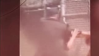 Coach and Umpire get into fight.....at a little league game