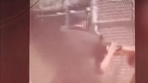 Coach and Umpire get into fight.....at a little league game