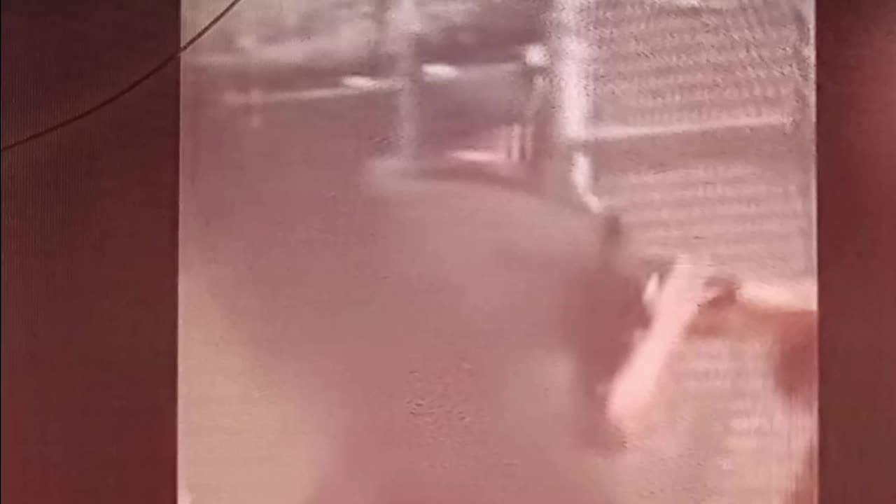 Coach and Umpire get into fight.....at a little league game