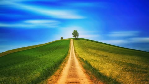 The Path to Peace and Happiness 