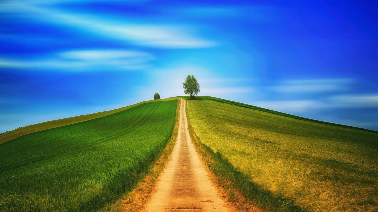 The Path to Peace and Happiness
