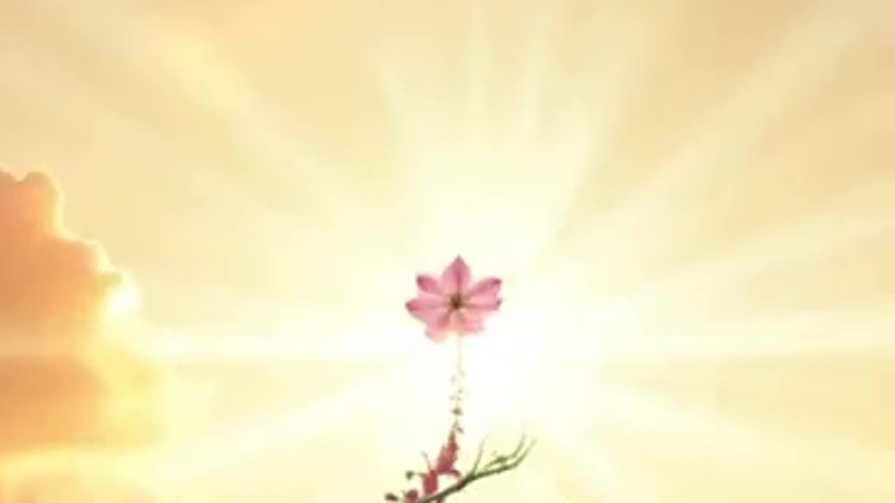 I'm coming
