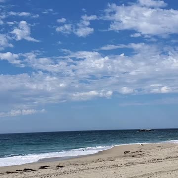 Laguna Beach so beautiful- so relaxing #healing #relaxing #beach #beautiful