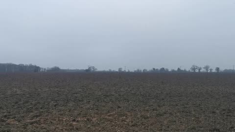 Plenty of Hosts for the Beasts Human Hunting