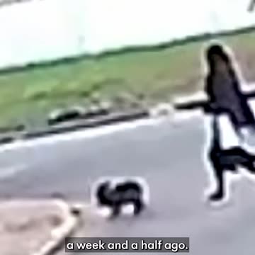 Ex reality tv star charged with [murder] beheading her boyfriend - 7NEWS Australia