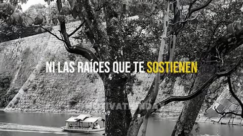 Si te importa, cuida.