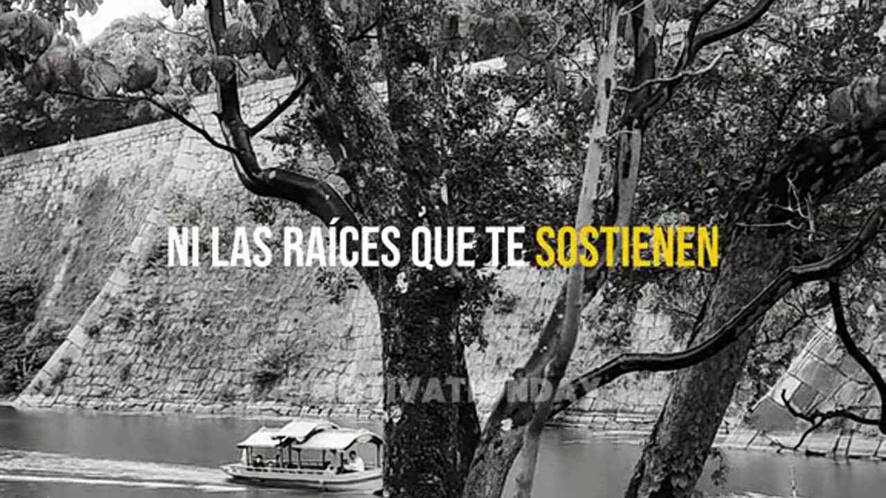 Si te importa, cuida.
