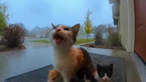 No Budy Expected This...