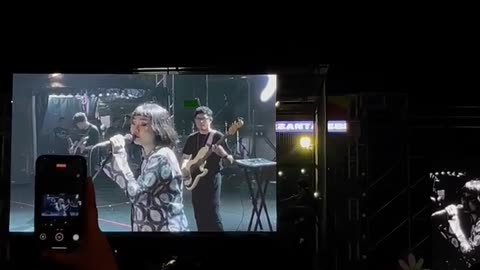 The Excitement of the Concert Stage Night