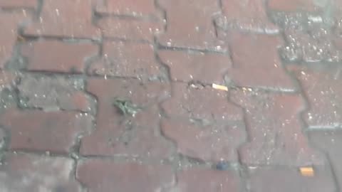 Army Giantess High Heel Crush Army - Candid