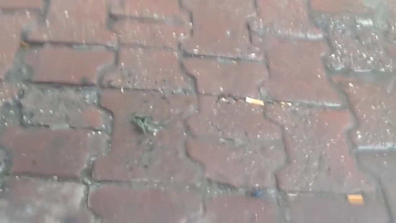 Army Giantess High Heel Crush Army - Candid