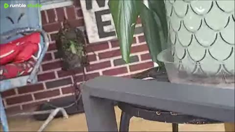 ttttttt