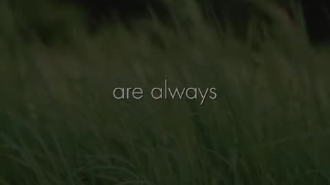 🙏✨ Sunday's Prayer | A Blessing for the Week Ahead | InGodWeTrustDaily