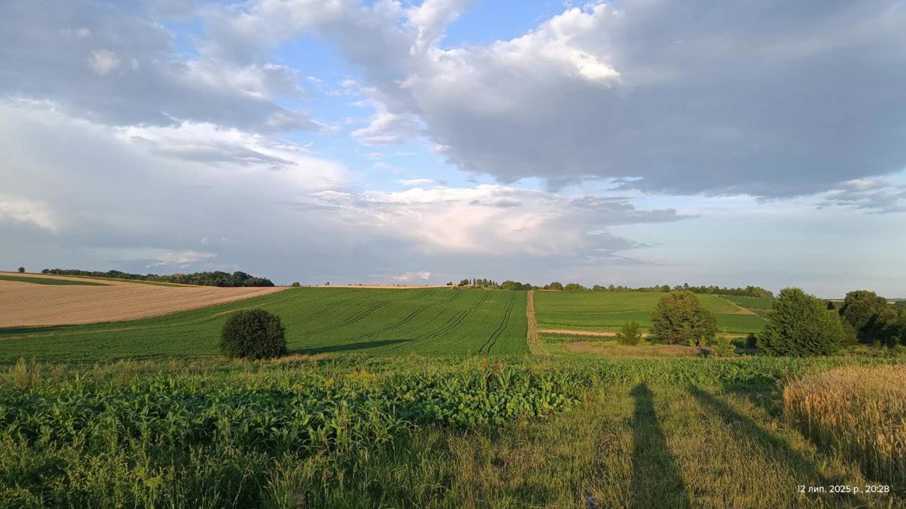 Вихідні