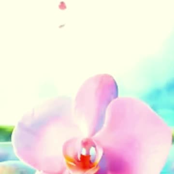 You want to relax? I got you. | Relaxing Piano Music 🎹