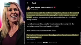 Rothschild BlackRock WEF Power...