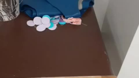 Part 34. Ransom items disappearing.