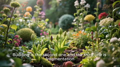 “From Seed to Giant Tree: The Life Cycle of a Tree”