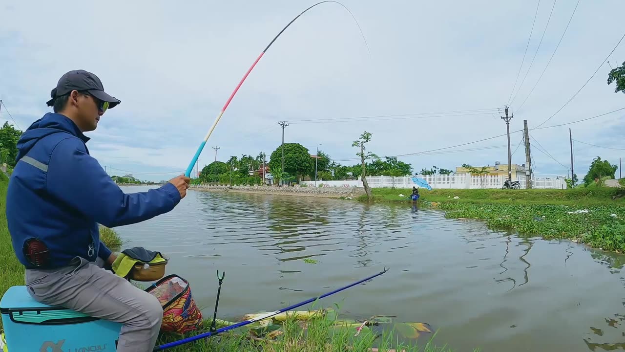 Bullhead The Tough Fish of Murky Waters