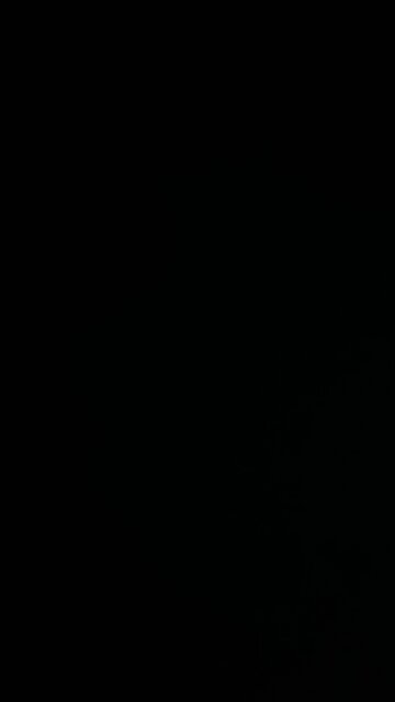 Scooby doo as a horse