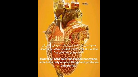 Farmane maula ali alaihissalatussalam @sufipoints don't miss to listen this Audio