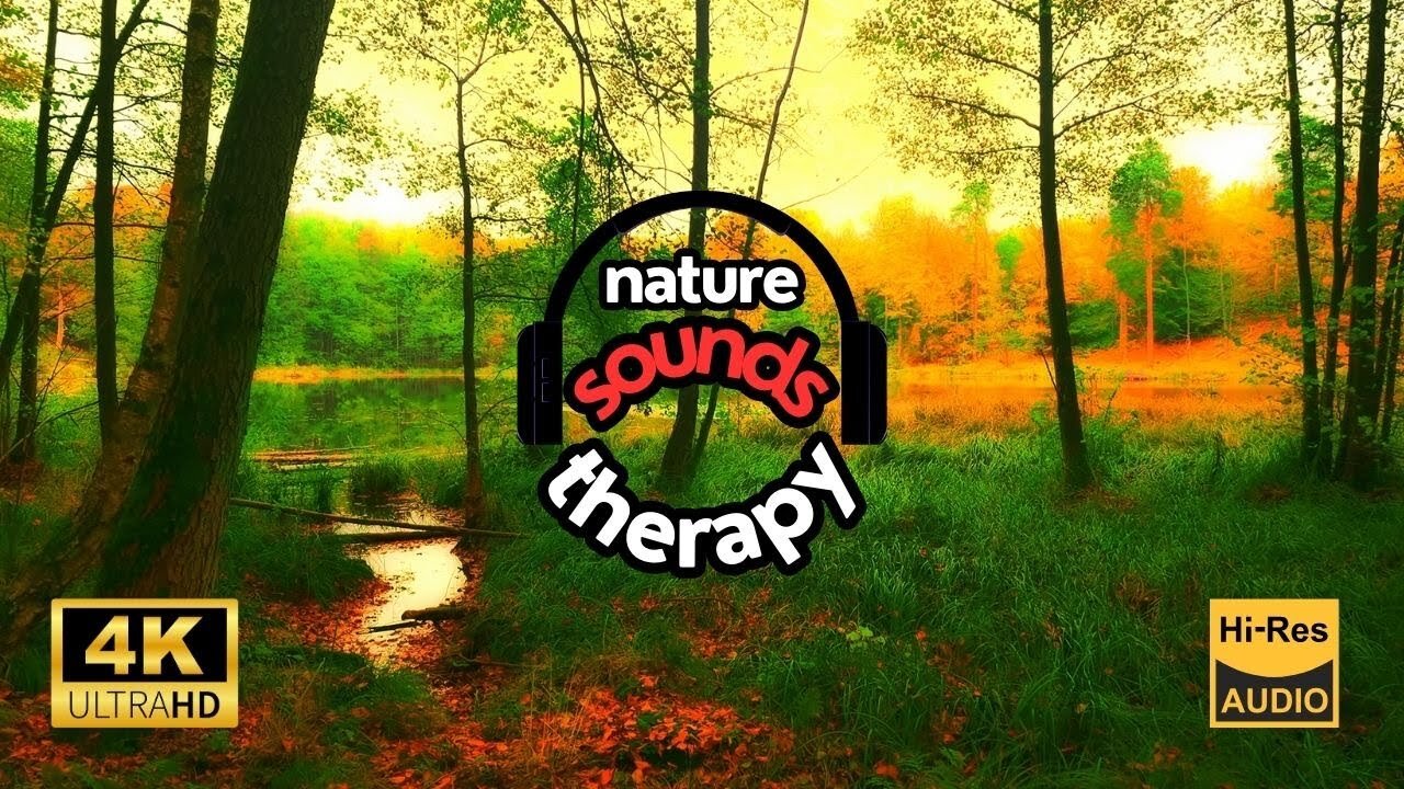 RELAX with Autumn Forest 🍂 Bird Songs & Nature Sounds 4K - Perfect for Sleeping, Studying & Focus
