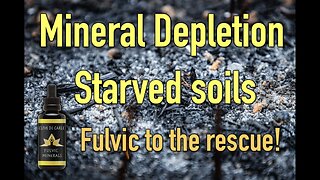 Fulvic Minerals & Wood Ash - Depletion across time