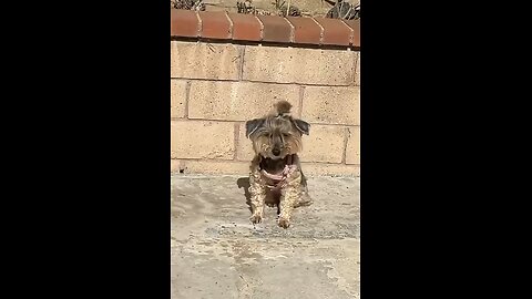 Waffles just waking up