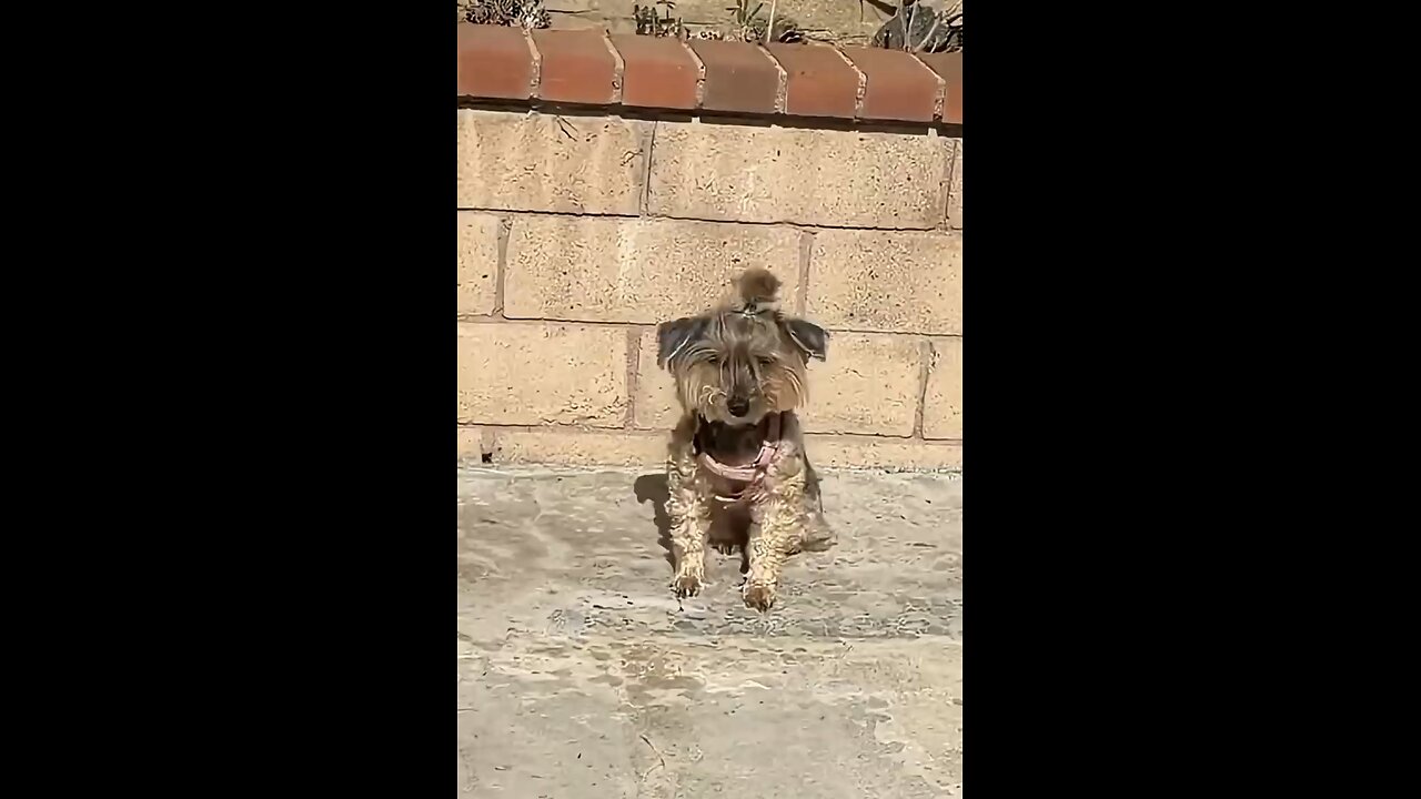 Waffles just waking up