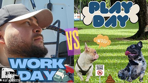 2 days vlog .. work then play 🙏🏻🔥