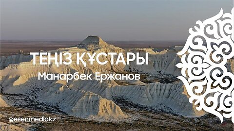 Теңіз құстары - Манарбек Ержанов ⁨@esenmediakz⁩