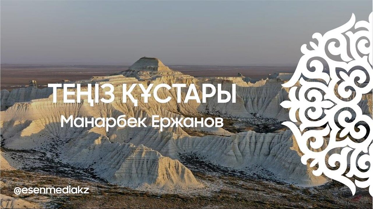 Теңіз құстары - Манарбек Ержанов ⁨@esenmediakz⁩