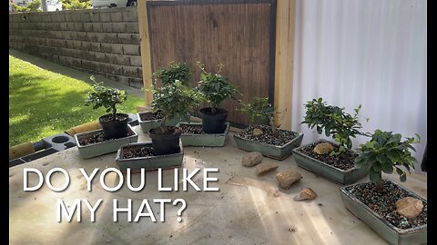 Do you like my hat?
