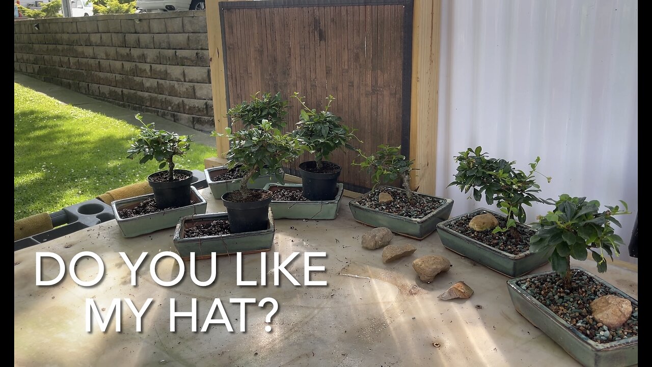 Do you like my hat?