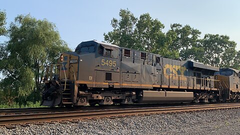 Lightning Fast CSX Train part 28 Shimmering Spinecars