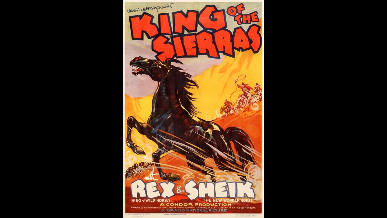 Black Stallion (aka King of the Sierras) (1938) | Directed by Samuel Diege & Arthur Rosson