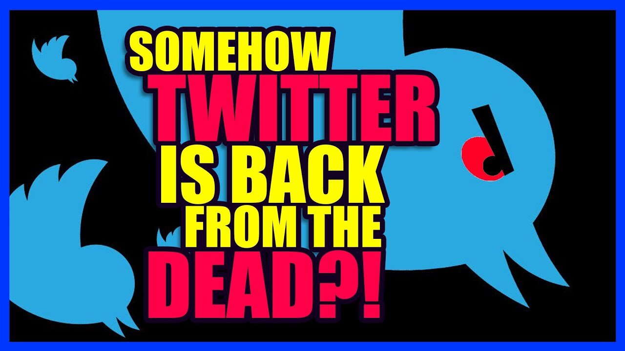 Twitter RETURNS as BlueSky DIES?! | Clownfish TV