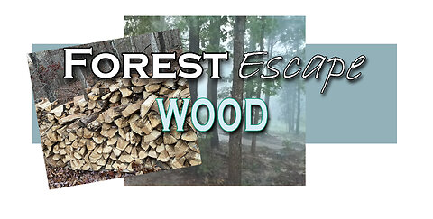 Forest Escape Cordless Brushless Chainsaw Review and Equipment, Cutting Wood, Black Widow Spider