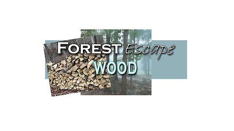 Forest Escape Cordless Brushless Chainsaw Review and Equipment, Cutting Wood, Black Widow Spider