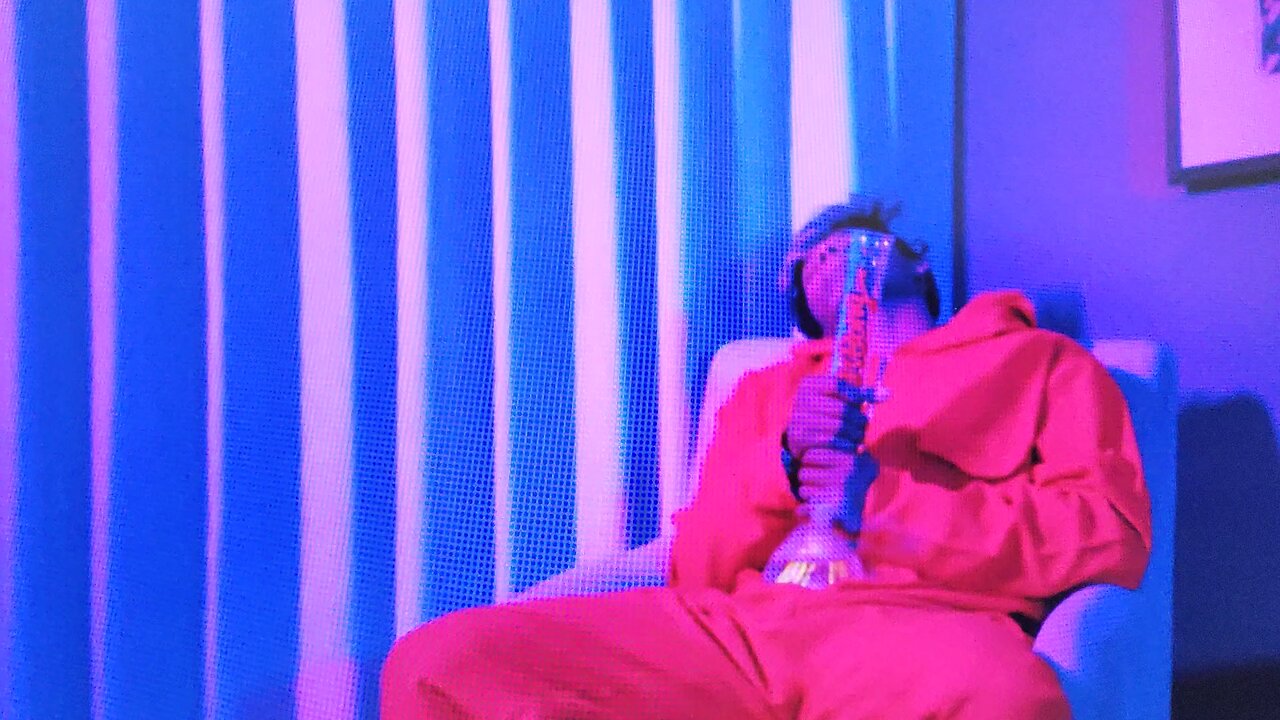 Space monkey