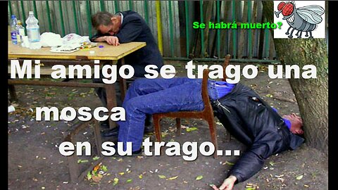 Mi amigo se tragó una mosca en su trago... se habrá muerto?