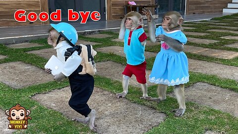 YiYi and YinYin sadly say goodbye to CEO Jack